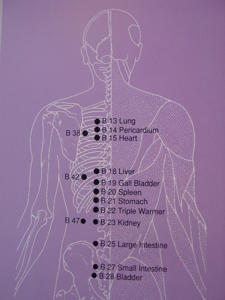Back Pain Relief Acupressure Points and SelfHealing