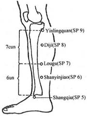Acupuncture.com - Acupuncture Points - Spleen Sp 9