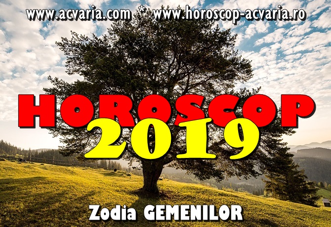 Anul acesta eşti mai hotărât ca oricând să renunţi la compromisuri în numele iubirii. Horoscop Acvaria Gemeni Horoscop 2019 Cariera Job Bani