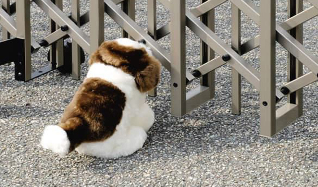 ペットが自由に走り回るお庭｜有限会社アドシステム｜湖西市・浜松市