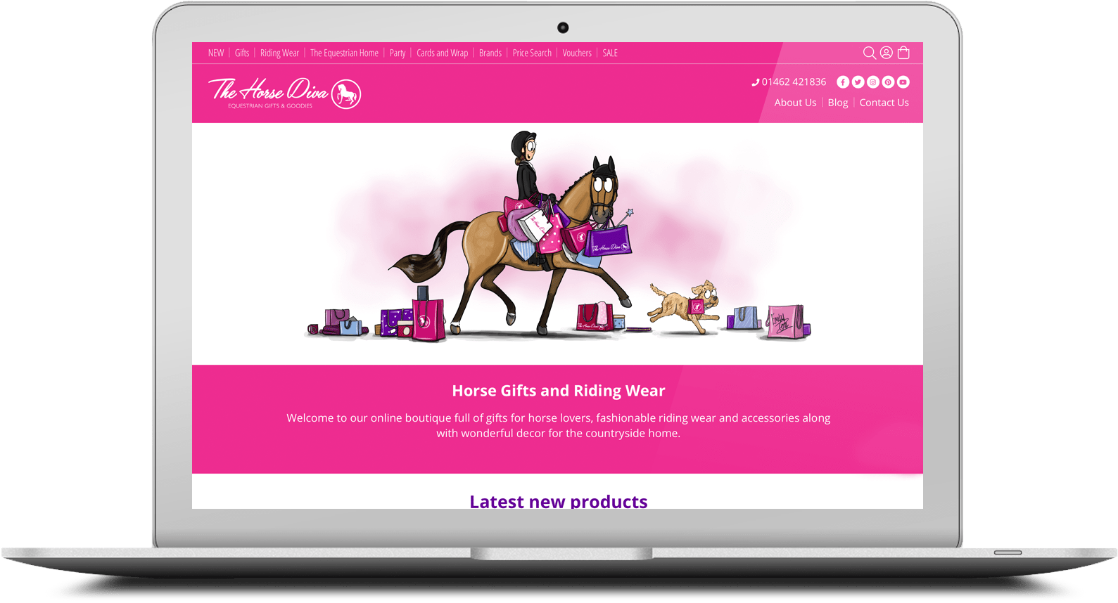 The Horse Diva Adam Bradford