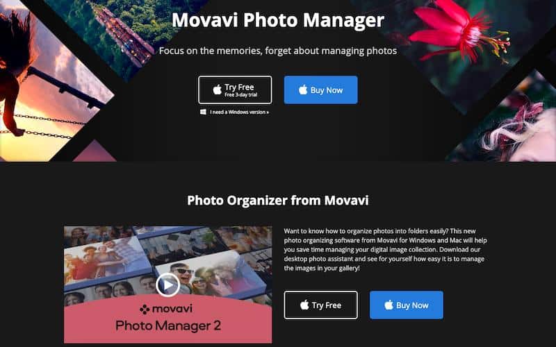 11 Best Photo Management Software of 2023 (Ultimate Guide) Rankableblogs