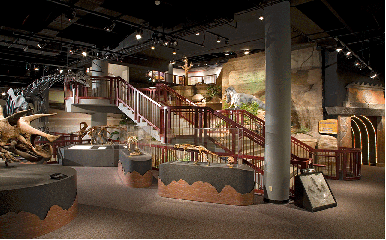 City of Mesa Arizona Museum of Natural History Adaptive Architects