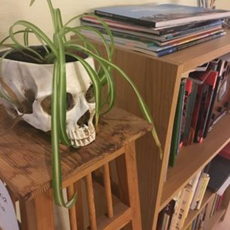 ADA Ledig plats i Serieateljén