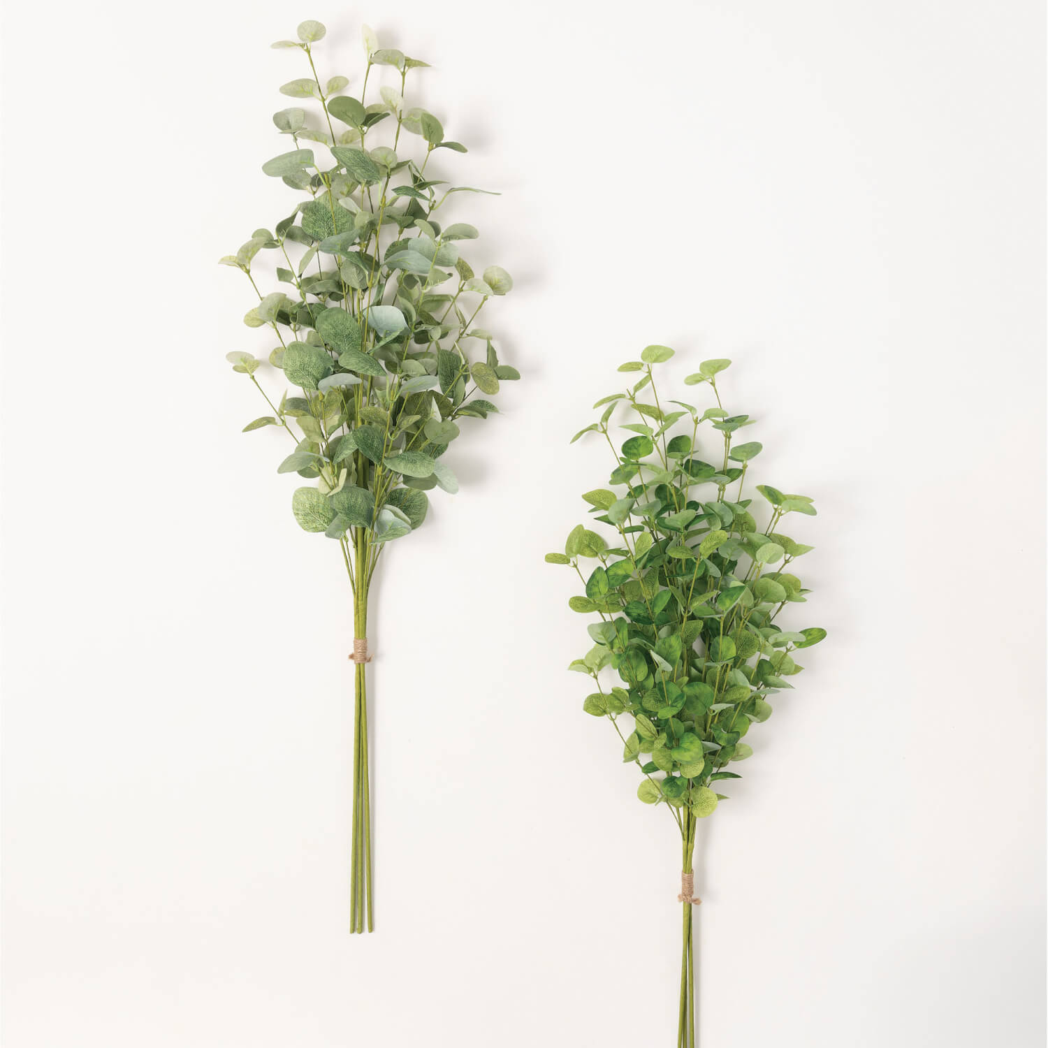 Eucalyptus Bundle Addie Birch