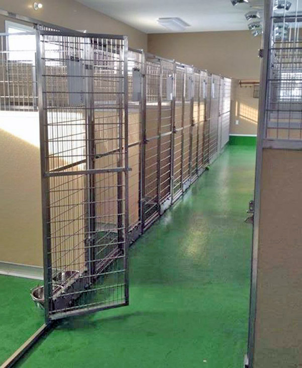 Adeliade Barks Photos