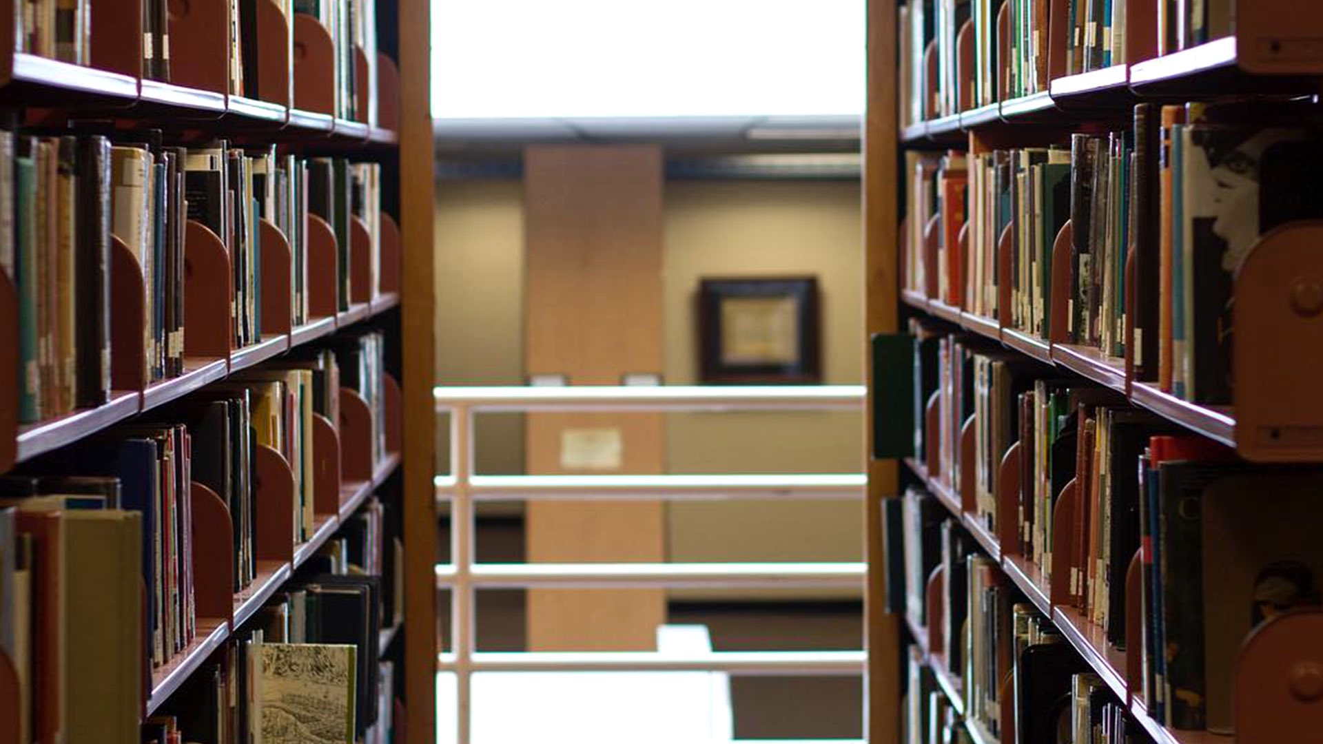 Zoom Backgrounds Brand Identity Adelphi University