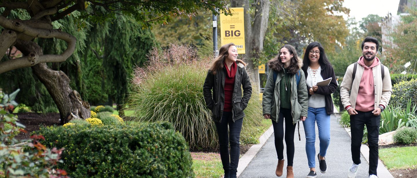 Career Adelphi University