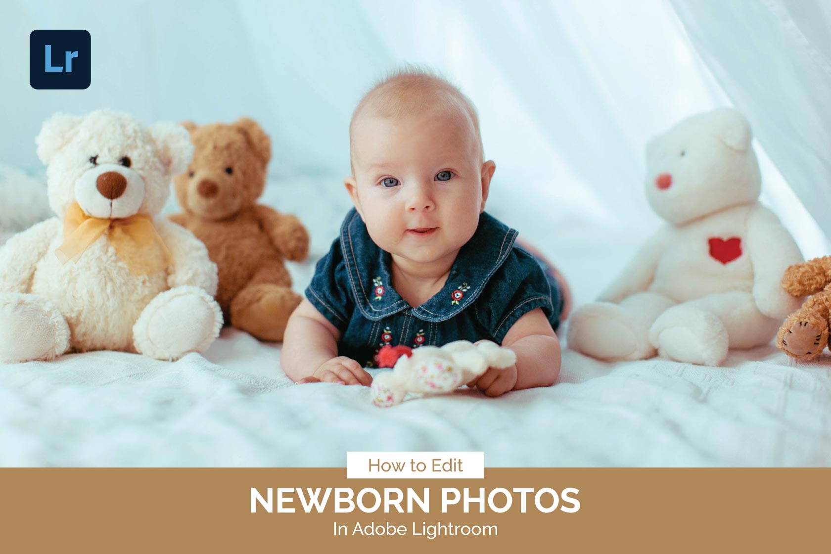 How To Edit Newborn Photos in Adobe Lightroom? Adept Clipping Path