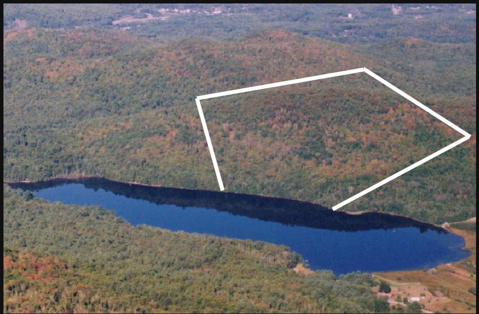 Lake Real Estate