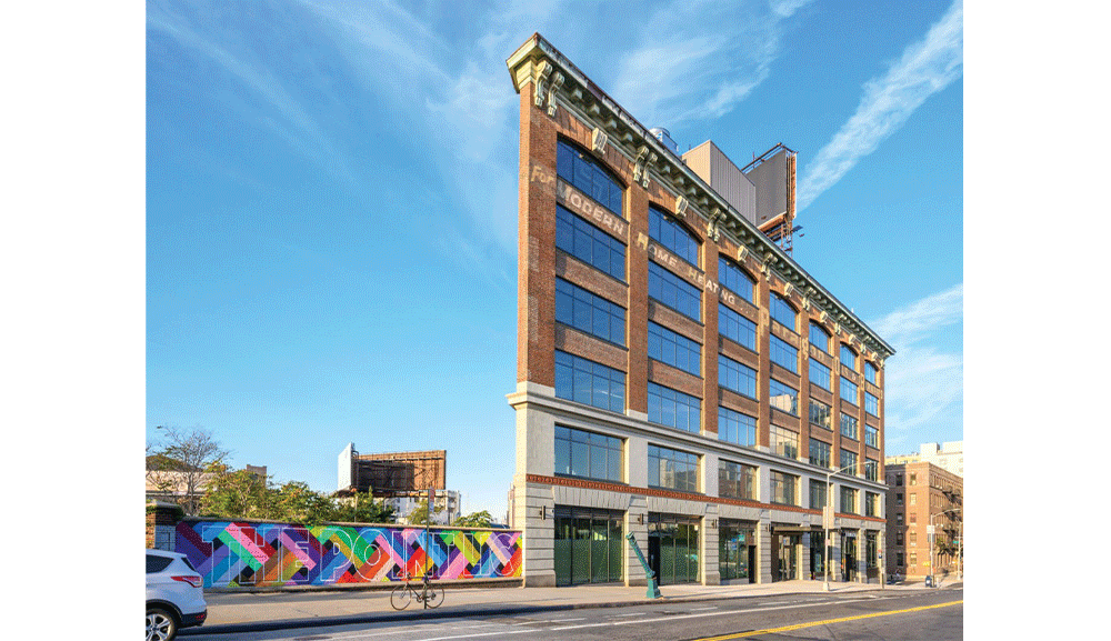 Paragon Building Adler Windows