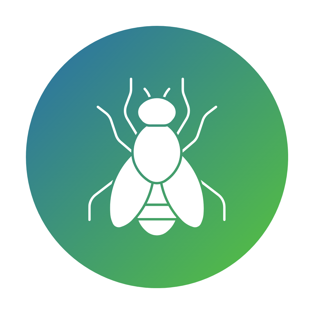 Pest Control Service in Varanasi Admaira Pest Control