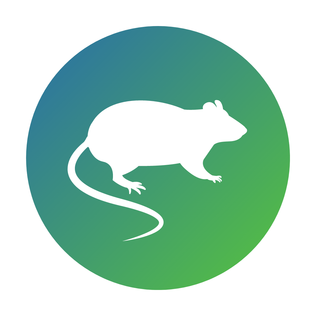 Pest Control Service in Varanasi Admaira Pest Control