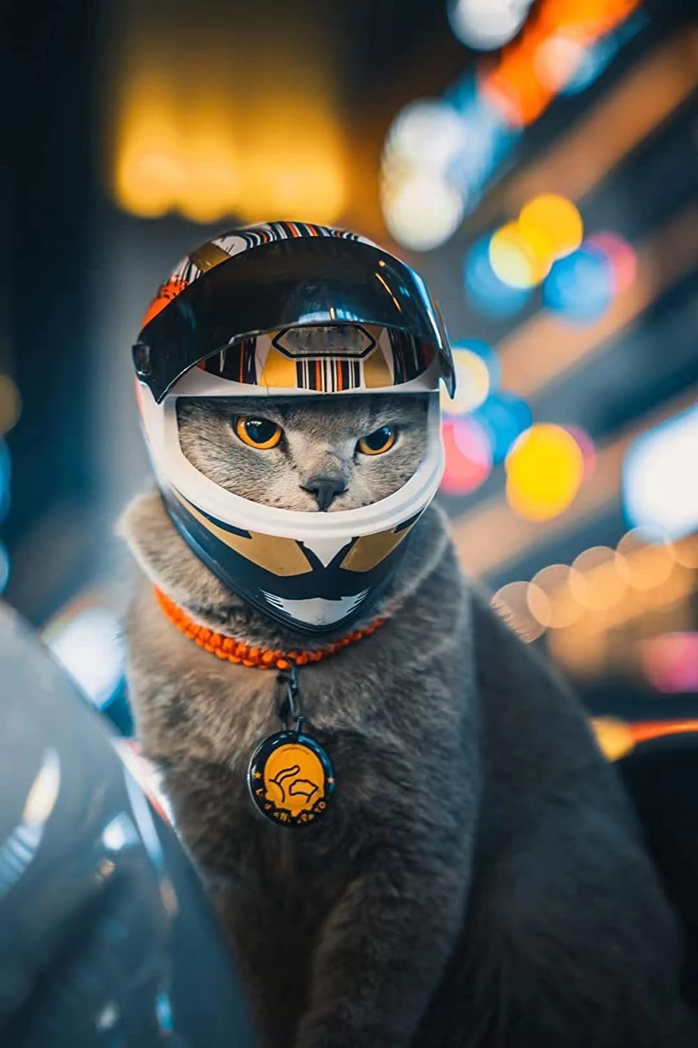 Motorcycle Helmet For Cats