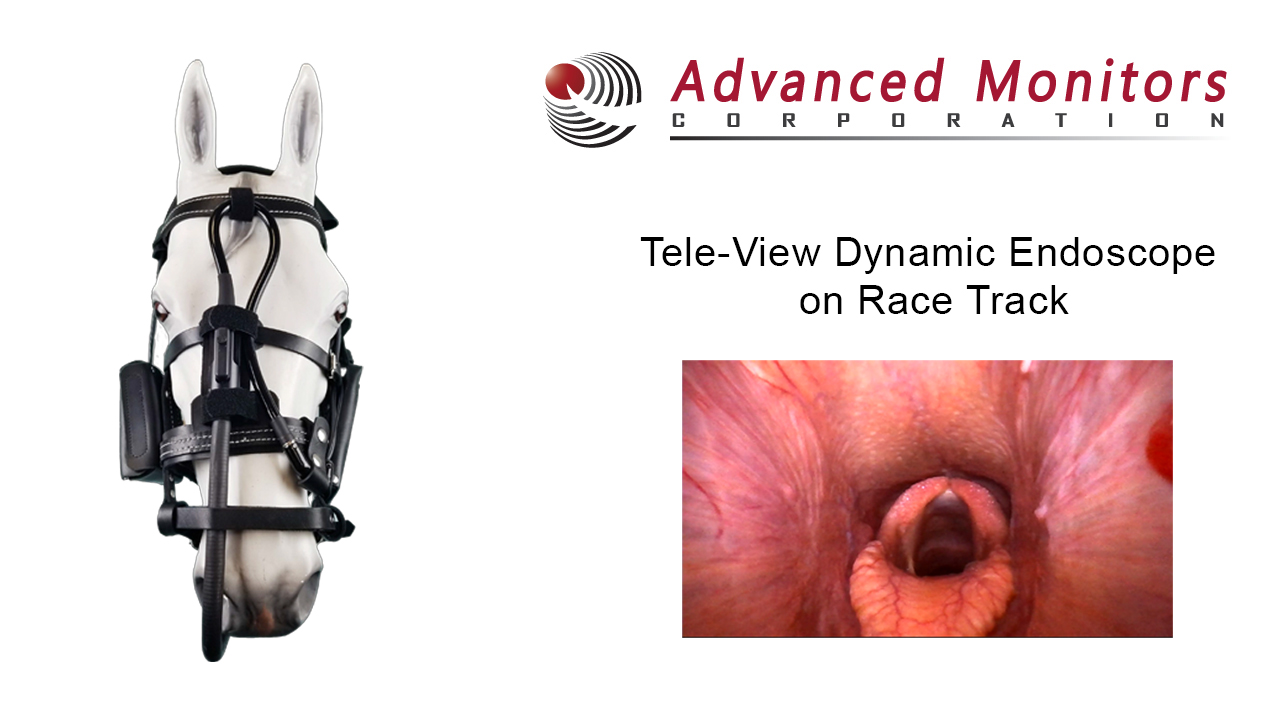 Dynamic Endoscope Pic