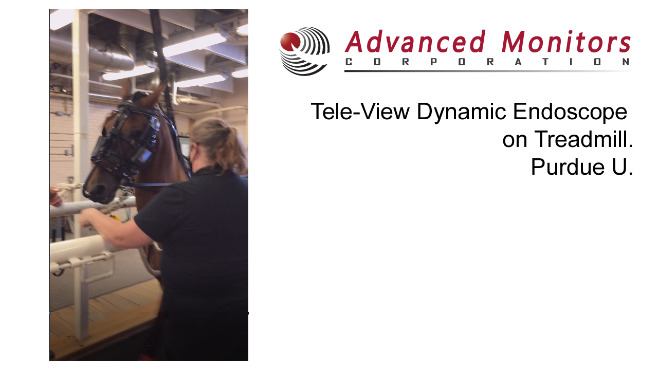 TreadmillVideoPurdueUThumbnails
