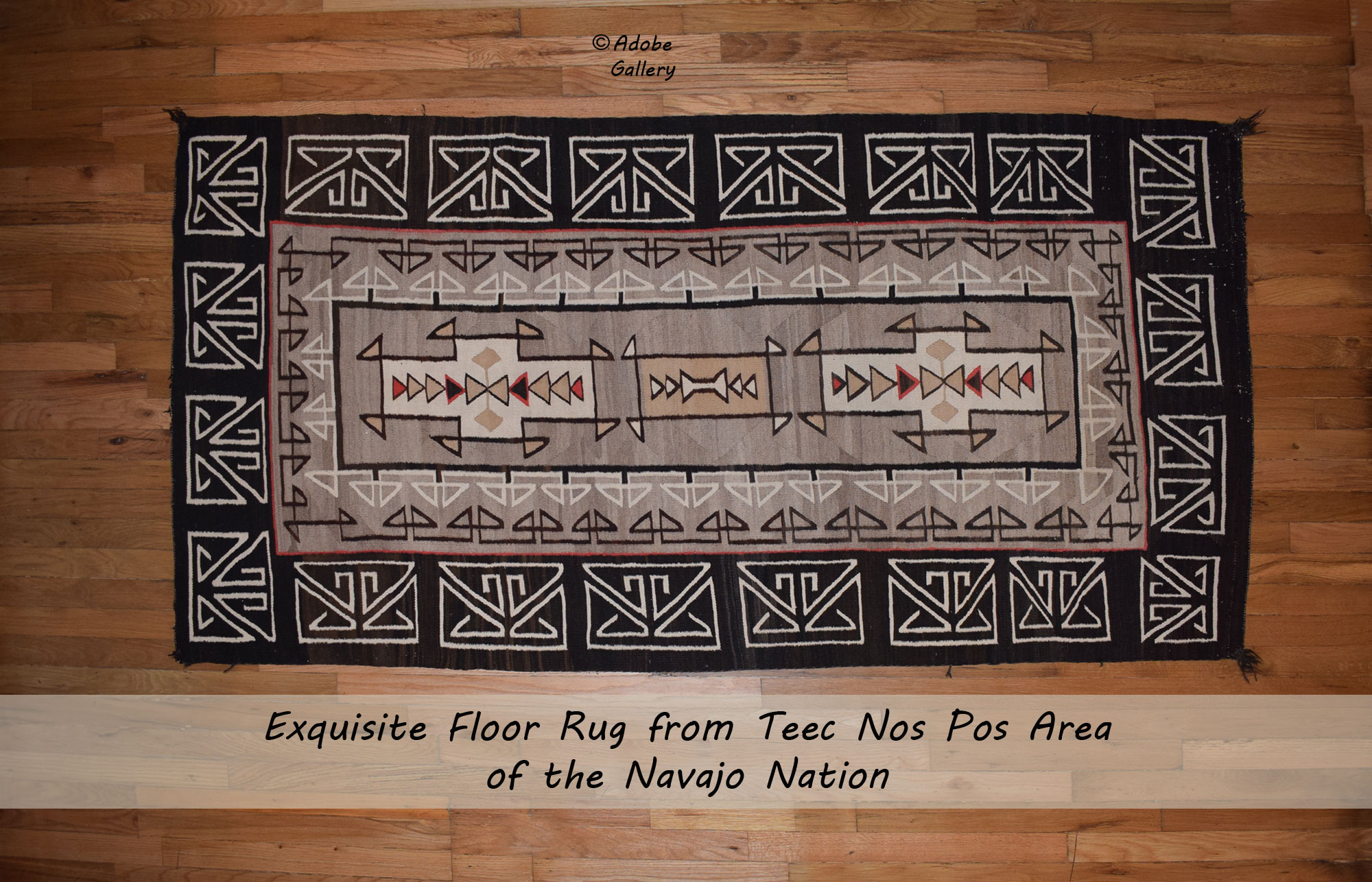 Teec Nos Pos Southwest Native American Textile Navajo Rug 20395 Adobe Gallery, Santa Fe