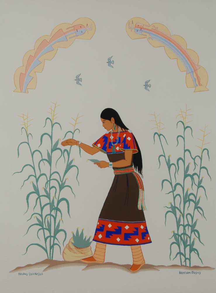 Young Diné (Navajo) Girl Gathering Corn by Harrison Begay Adobe