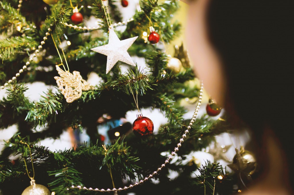 How to Organise a Christmas Tree Fundraiser