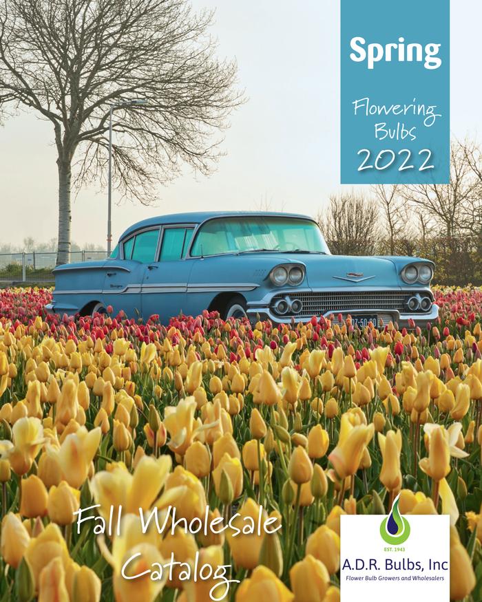 Request a copy of our spring or summer wholesale catalog