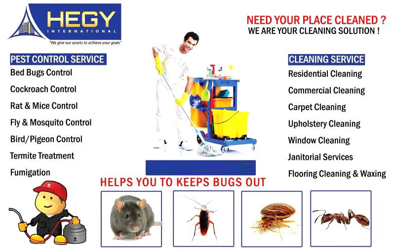 Qatar Bedbugs control treatment for apartments, doha qatar Services