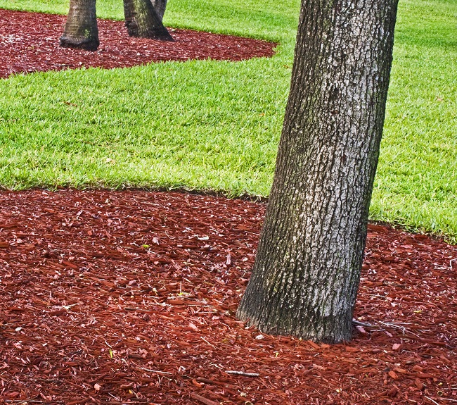 The Convenience and Simplicity of Mulch Delivery Advanced Tree & Shrub Care, Inc.