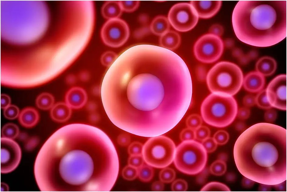Stem Cells Main Types, Sources, and Uses Advancells
