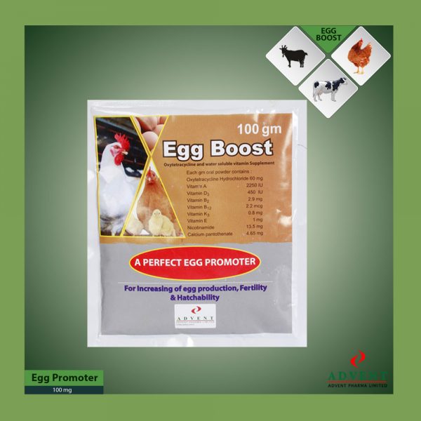 EGG BOOST to Advent Pharma Limited