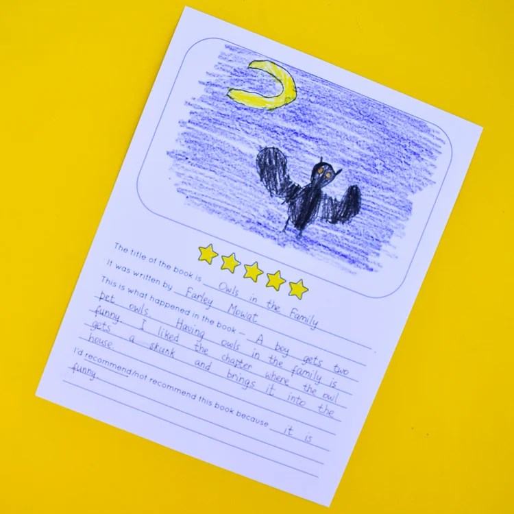 How to Write a Book Review for Kids Adventure in a Box