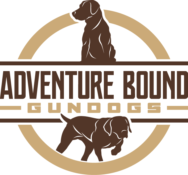 Adventure Bound Gundogs