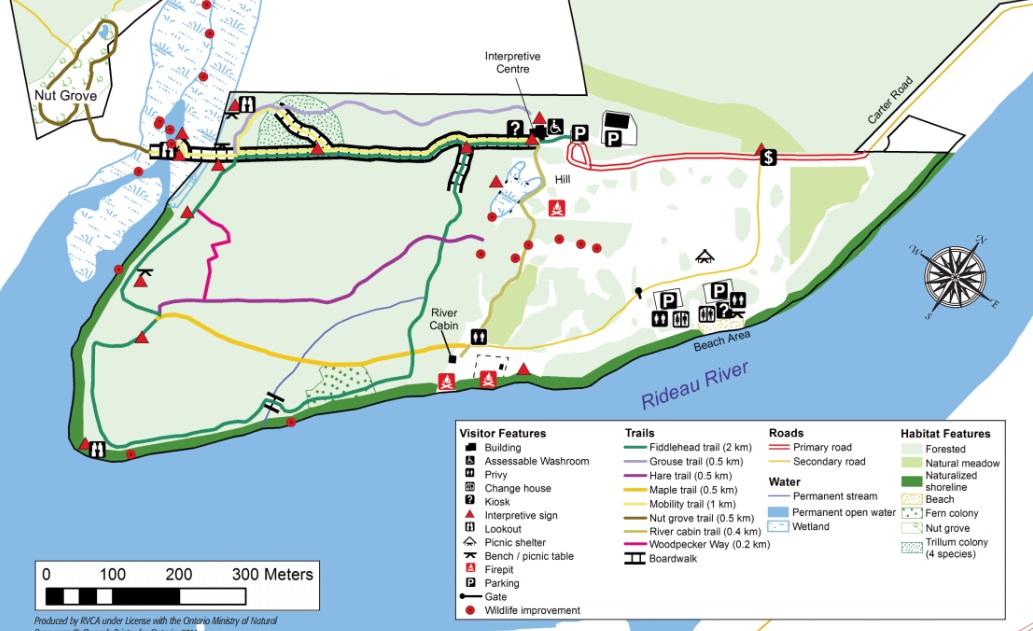 The Baxter Conservation Area A 3 6k Hike South Of Ottawa