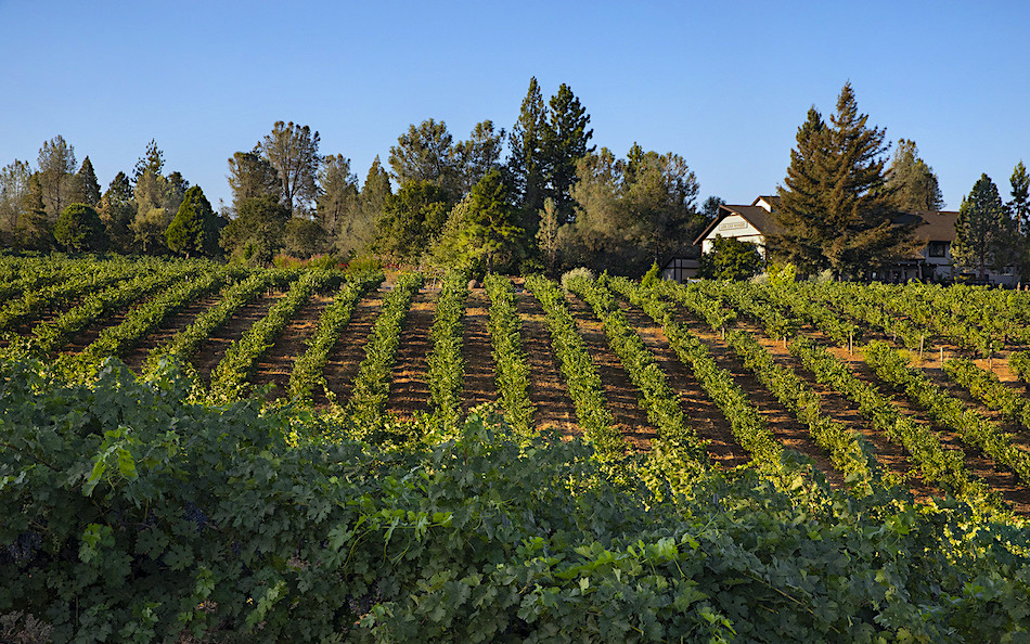 Rhône Wines In California's Sierra Foothills El Dorado Wine Country