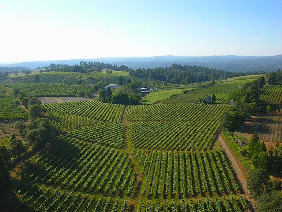 Rhône Wines In California's Sierra Foothills El Dorado Wine Country