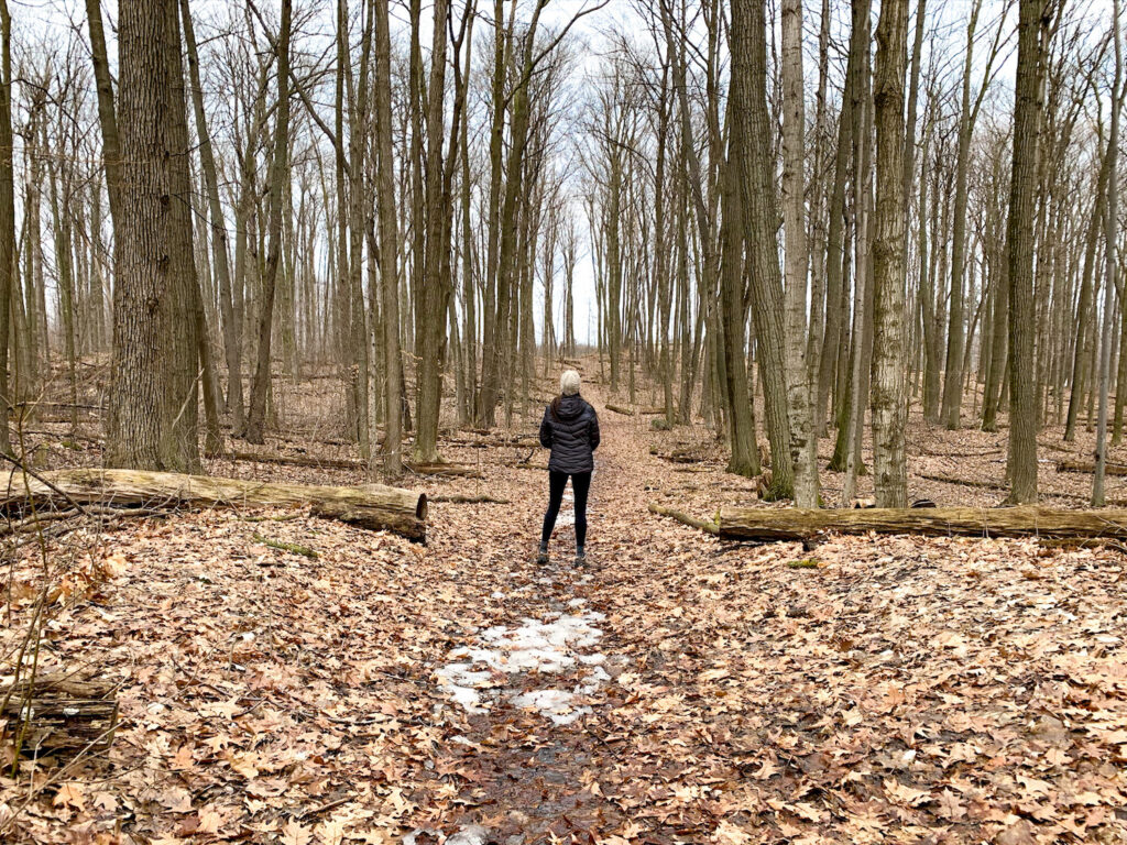 Hiking Trails in Kitchener, Ontario A Complete Guide to all Kitchener