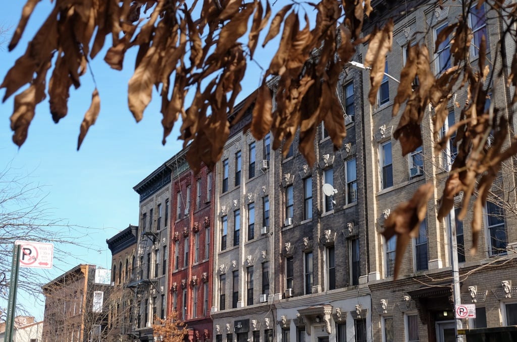 Inside Bushwick, The Weirdest Place in New York City Adventurous Kate