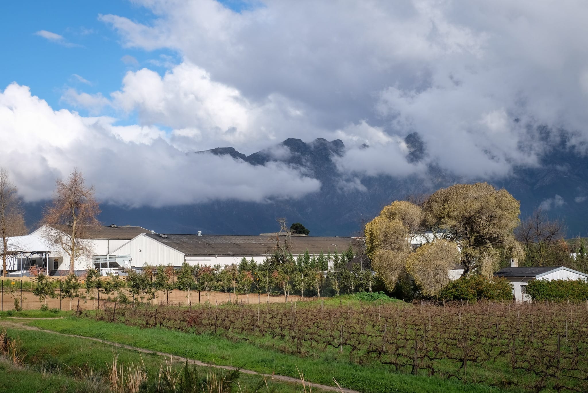 Things to Do in Stellenbosch A Guide to South Africa's Wine Region