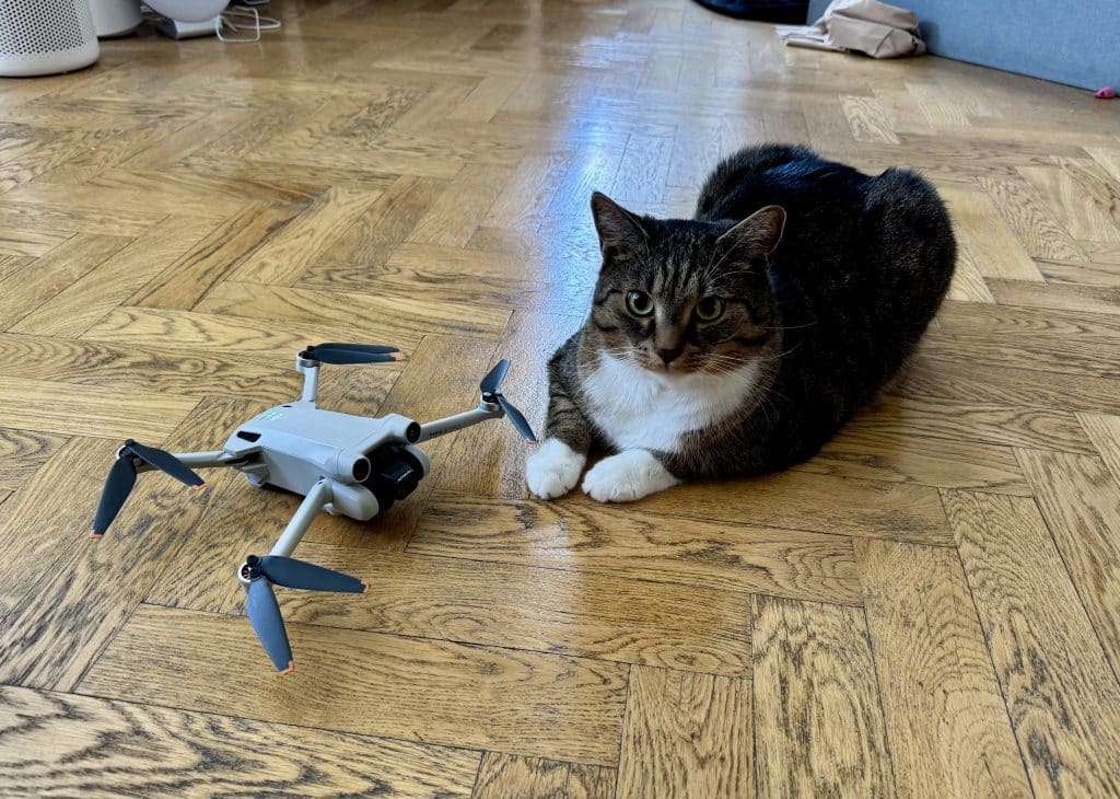 AK Monthly Recap: May 2025 AK Monthly Recap: May 2025