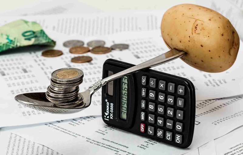 Investing in Mutual Funds Risks and Returns Advisorkhoj