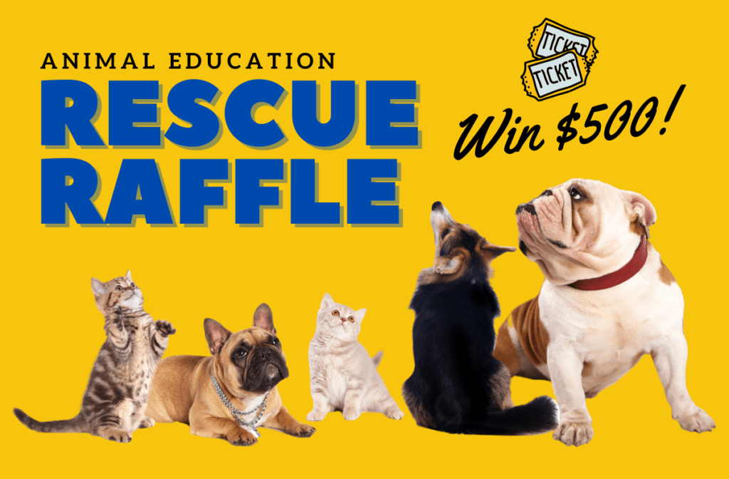 2022 SUMMER RESCUE RAFFLE Animal Education & Rescue