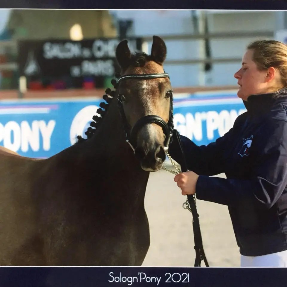 LEFEBVRE NATACHA aecvl