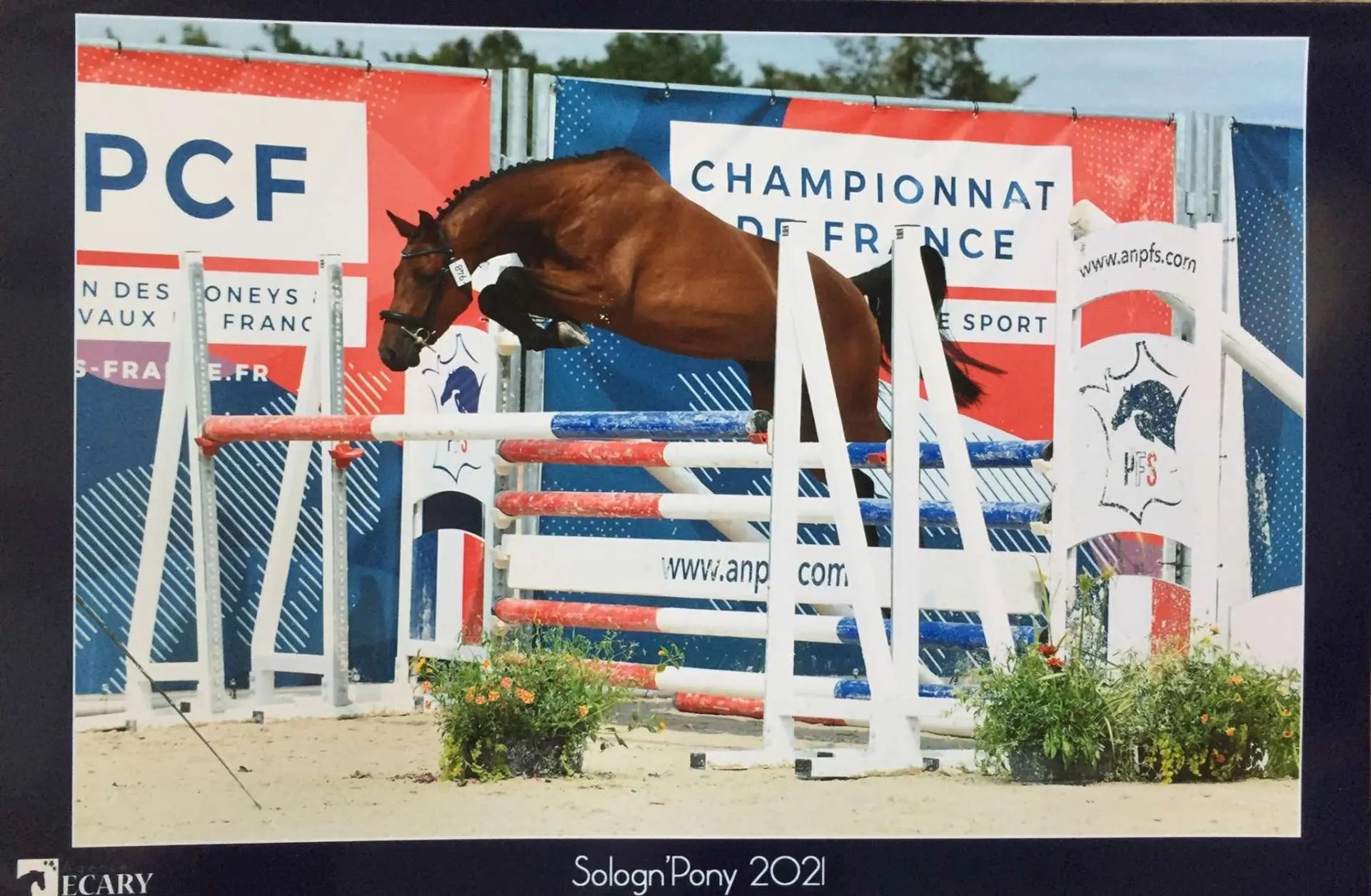 LEFEBVRE NATACHA aecvl