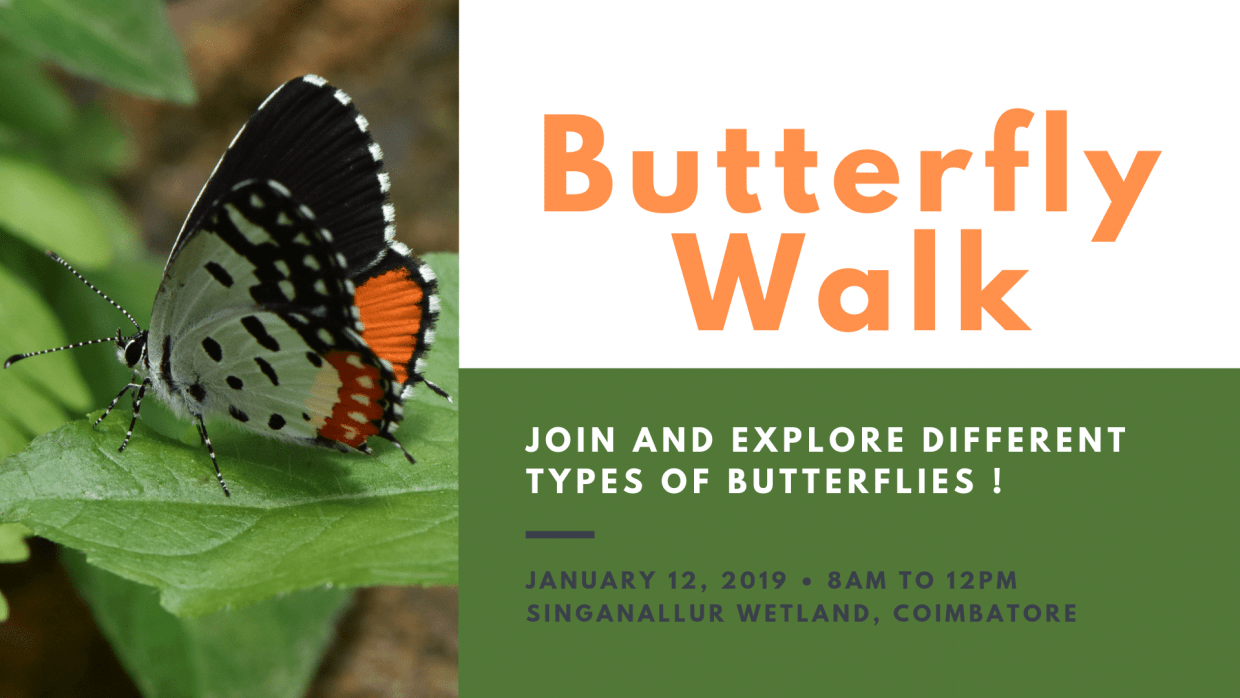 Butterfly Walk, as a part of Coimbatore Vizha 2019