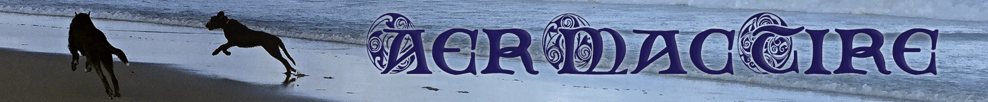 AerMacTire Logo
