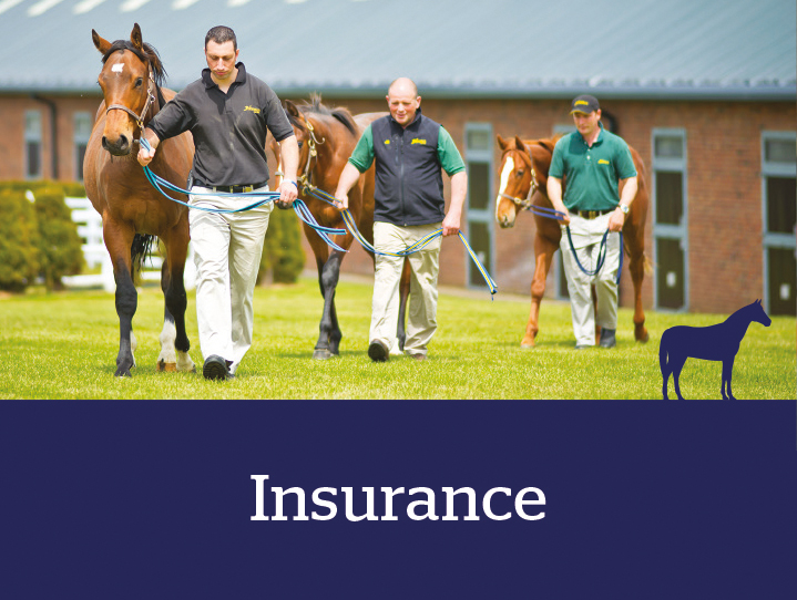 Thoroughbred Breeders’ Association AF Affinity