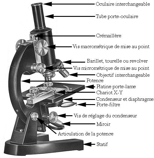 microscope