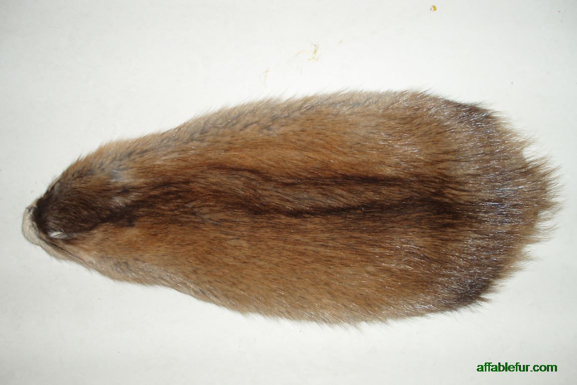 Nature Color Muskrat Whoke Skin Fly Tying Fur Muskrat skin & Strips