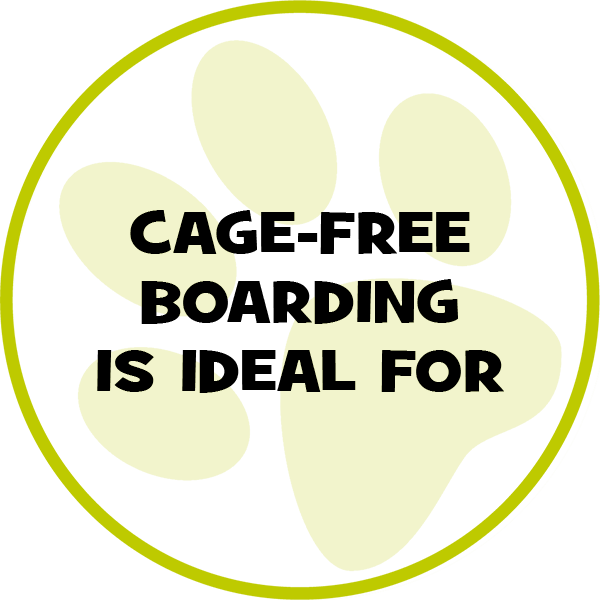 CageFree Boarding Affectionate Pet Care