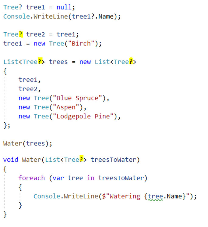 Null Values in C Part 2 Affirma