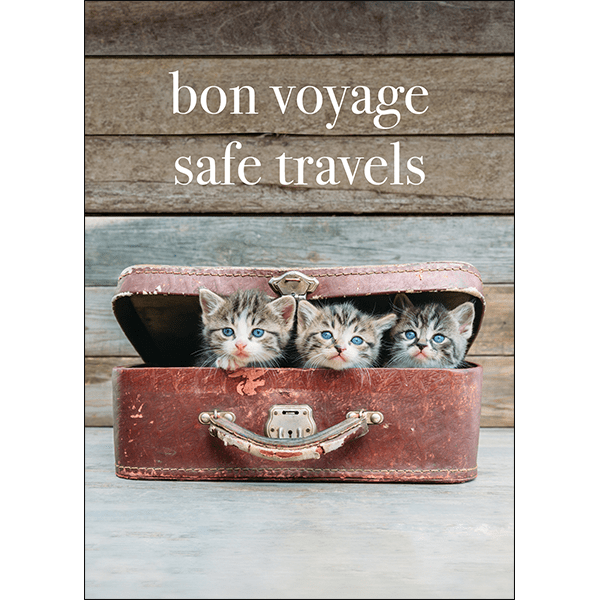 M133 Bon Voyage, Safe Travels Kitten Greeting Card Affirmations