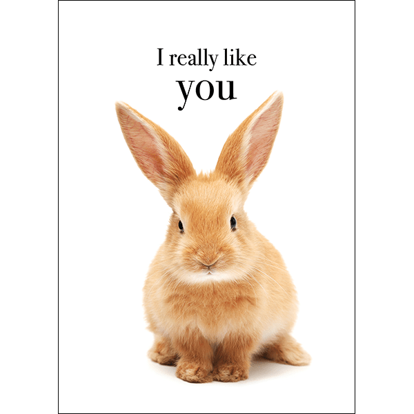 M139 I Really Like You Rabbit Greeting Card Affirmations